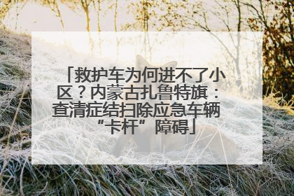 救护车为何进不了小区？内蒙古扎鲁特旗：查清症结扫除应急车辆“卡杆”障碍