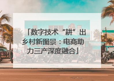 数字技术“耕”出乡村新图景：电商助力三产深度融合