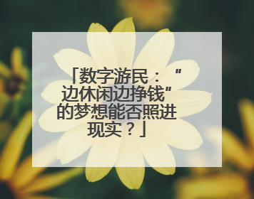 数字游民:“边休闲边挣钱”的梦想能否照进现实?
