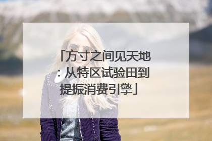 方寸之间见天地：从特区试验田到提振消费引擎