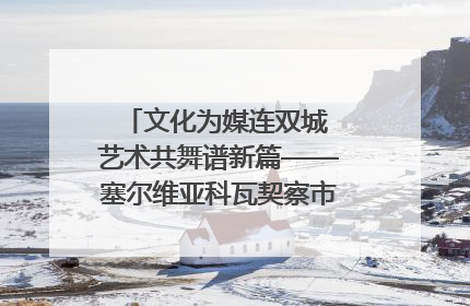 文化为媒连双城 艺术共舞谱新篇——塞尔维亚科瓦契察市代表团访问日照