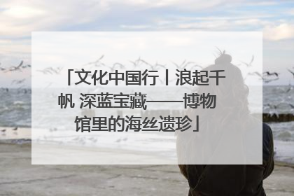 文化中国行丨浪起千帆 深蓝宝藏——博物馆里的海丝遗珍