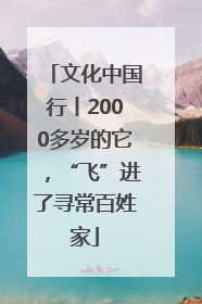文化中国行丨2000多岁的它，“飞”进了寻常百姓家