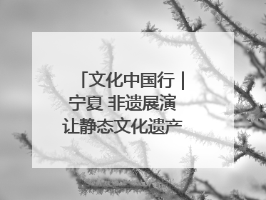 文化中国行｜宁夏 非遗展演让静态文化遗产“活”起来