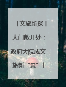 文旅新探丨大门敞开处：政府大院成文旅新“景”