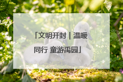 文明开封｜温暖同行 童游禹园