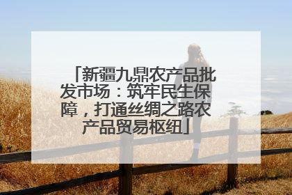 新疆九鼎农产品批发市场：筑牢民生保障，打通丝绸之路农产品贸易枢纽