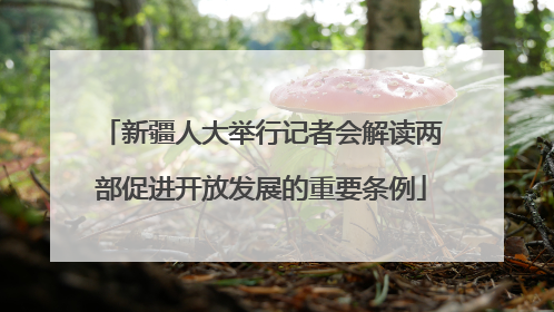 新疆人大举行记者会解读两部促进开放发展的重要条例
