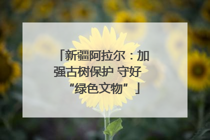 新疆阿拉尔：加强古树保护 守好“绿色文物”