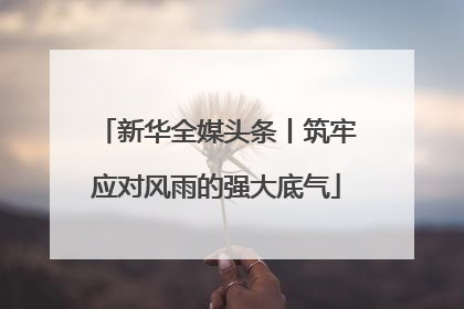 新华全媒头条丨筑牢应对风雨的强大底气
