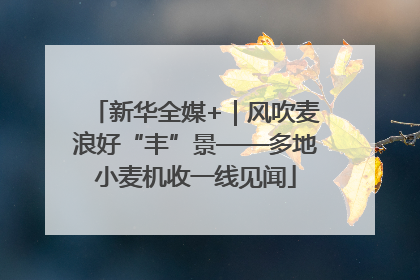 新华全媒+｜风吹麦浪好“丰”景——多地小麦机收一线见闻
