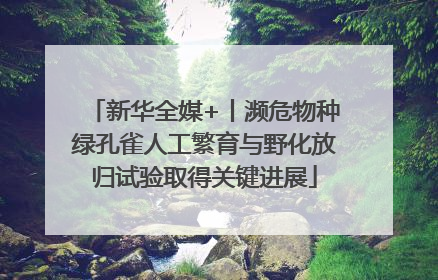 新华全媒+丨濒危物种绿孔雀人工繁育与野化放归试验取得关键进展