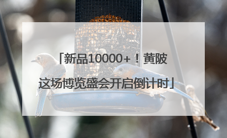 新品10000+！黄陂这场博览盛会开启倒计时
