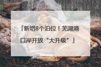 新增8个泊位！芜湖港口岸开放“大升级”