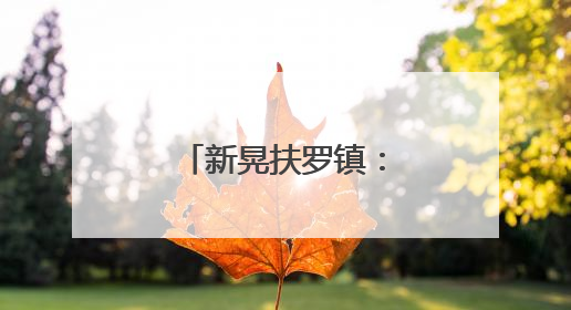 新晃扶罗镇：全民共绘美丽乡村新画卷