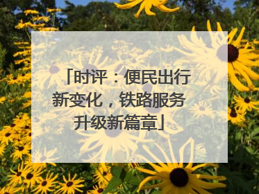 时评：便民出行新变化，铁路服务升级新篇章