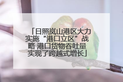 日照岚山港区大力实施“港口立区”战略 港口货物吞吐量实现了跨越式增长