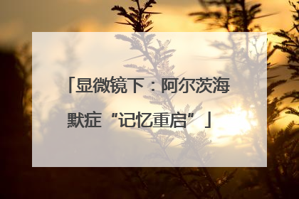 显微镜下：阿尔茨海默症“记忆重启”
