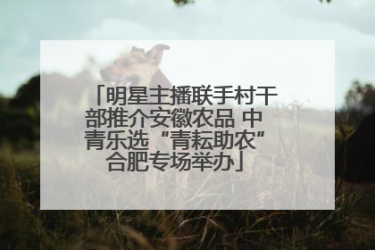 明星主播联手村干部推介安徽农品 中青乐选“青耘助农”合肥专场举办
