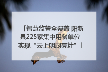 智慧监管全覆盖 阳新县225家集中用餐单位实现“云上明厨亮灶”