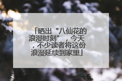 晒出“八仙花的浪漫时刻”，今天，不少读者将这份浪漫延续到家里