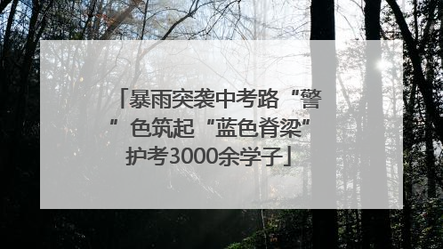暴雨突袭中考路“警”色筑起“蓝色脊梁”护考3000余学子