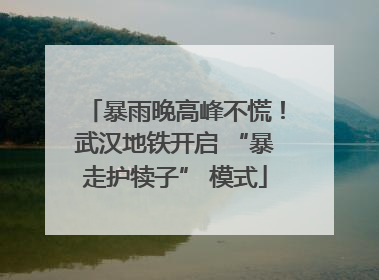 暴雨晚高峰不慌！武汉地铁开启 “暴走护犊子” 模式