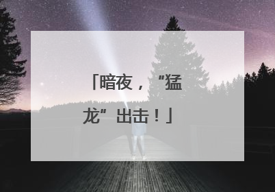 暗夜，“猛龙”出击！
