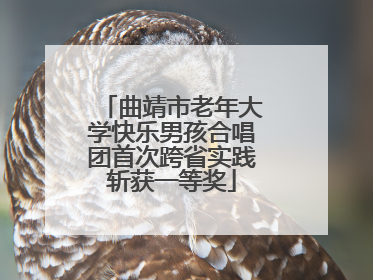 曲靖市老年大学快乐男孩合唱团首次跨省实践斩获一等奖