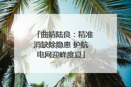 曲靖陆良：精准消缺除隐患 护航电网迎峰度夏