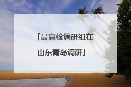 最高检调研组在山东青岛调研