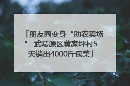 朋友圈变身“助农卖场” 武陵源区黄家坪村5天销出4000斤包菜
