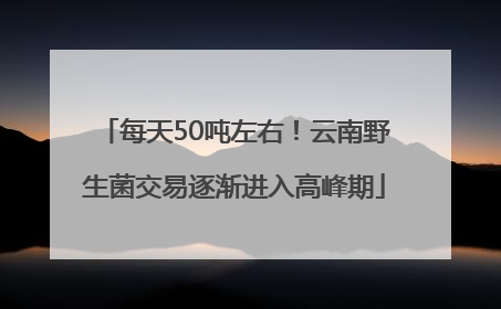 每天50吨左右！云南野生菌交易逐渐进入高峰期