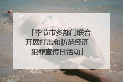 毕节市多部门联合开展打击和防范经济犯罪宣传日活动