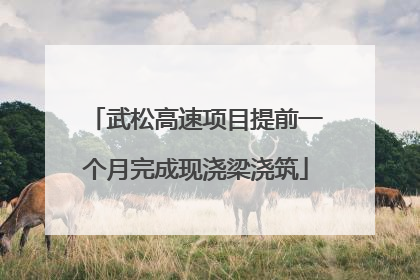 武松高速项目提前一个月完成现浇梁浇筑