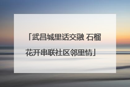 武昌城里话交融 石榴花开串联社区邻里情