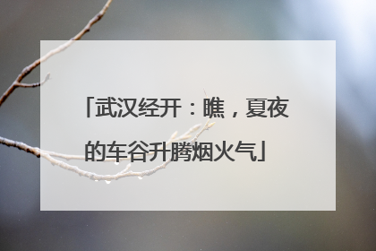 武汉经开：瞧，夏夜的车谷升腾烟火气