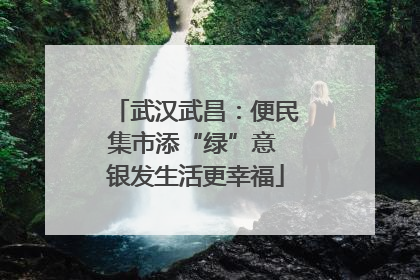武汉武昌：便民集市添“绿”意 银发生活更幸福