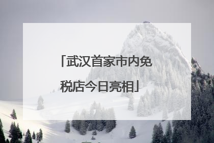 武汉首家市内免税店今日亮相
