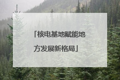 核电基地赋能地方发展新格局