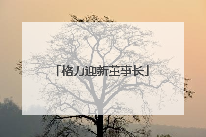 格力迎新董事长