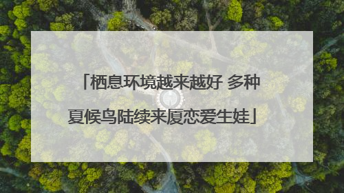 栖息环境越来越好 多种夏候鸟陆续来厦恋爱生娃