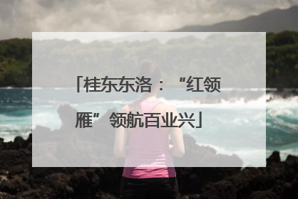 桂东东洛：“红领雁”领航百业兴