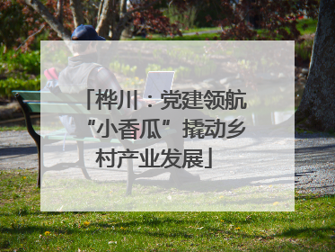 桦川：党建领航“小香瓜”撬动乡村产业发展