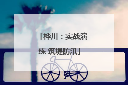 桦川：实战演练 筑堤防汛