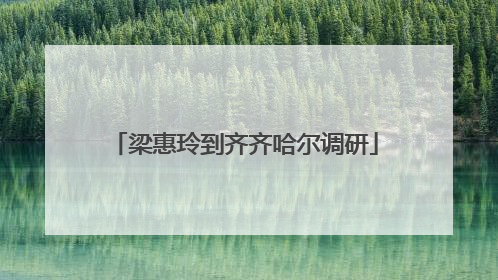 梁惠玲到齐齐哈尔调研