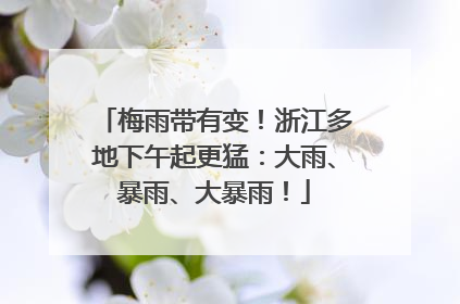 梅雨带有变！浙江多地下午起更猛：大雨、暴雨、大暴雨！