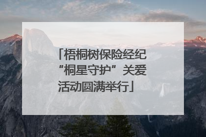 梧桐树保险经纪“桐星守护”关爱活动圆满举行
