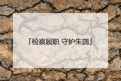 检察履职 守护朱鹮