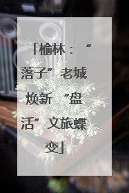 榆林：“落子”老城焕新 “盘活”文旅蝶变